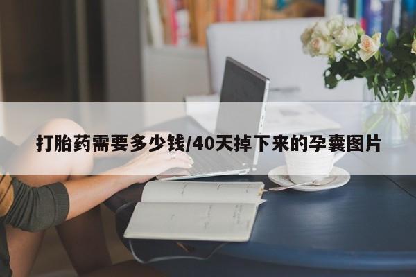 米非司酮片网上购买打胎药需要多少钱/40天掉下来的孕囊图片